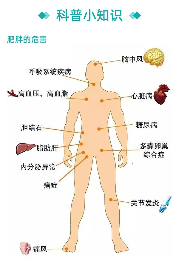 5+2轻断食减脂方案