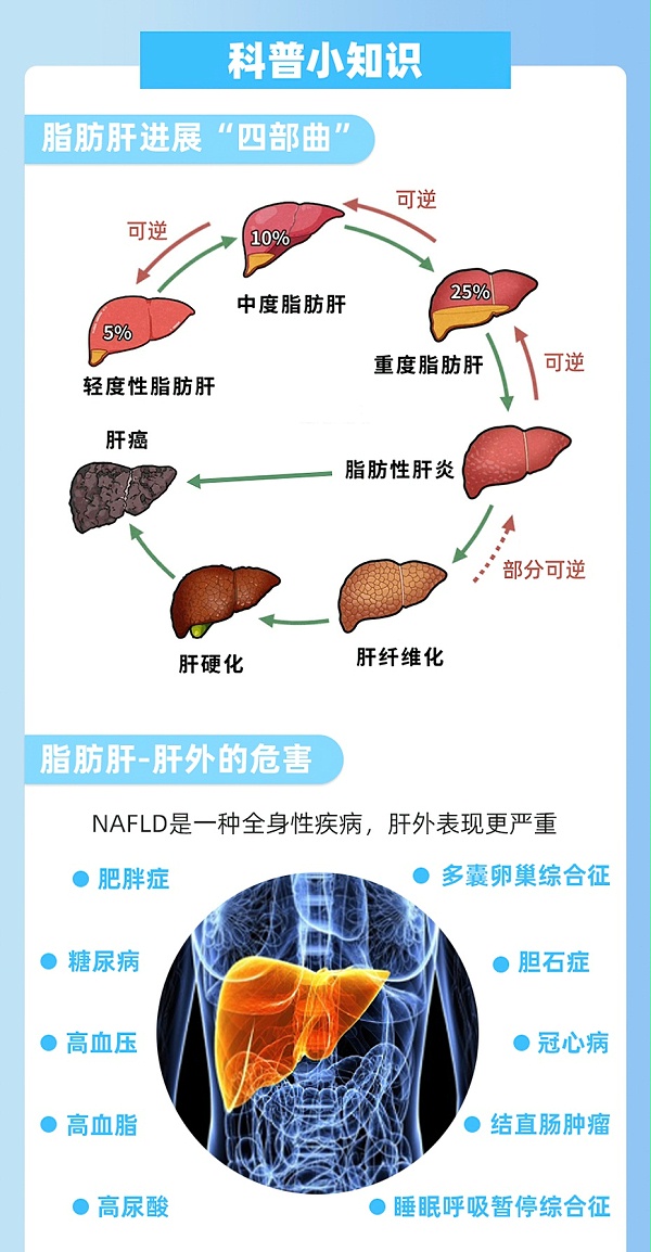 脂肪肝数字疗法干预方案(30天版)