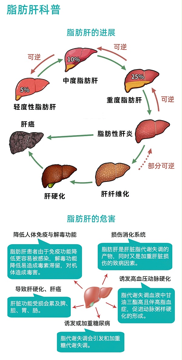 脂肪肝健康管理方案