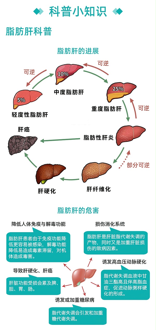 脂肪肝群管理方案