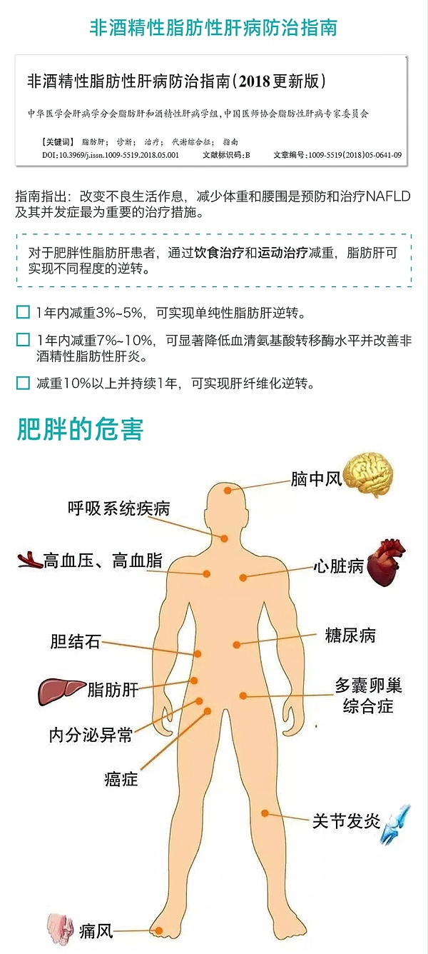 脂肪肝群管理方案