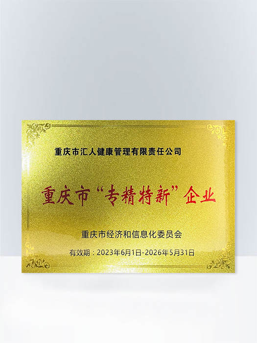 重庆市“专精特新”企业证书