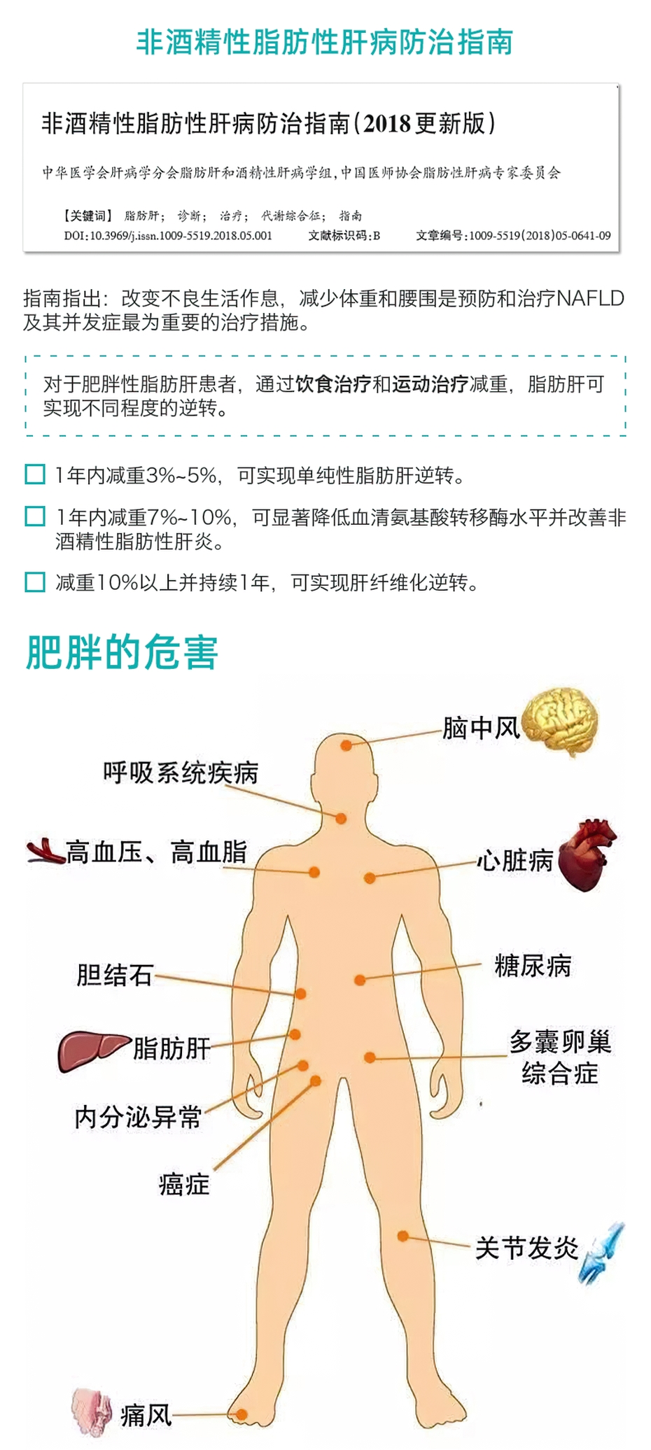 脂肪肝群管理方案